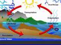 water cycle 