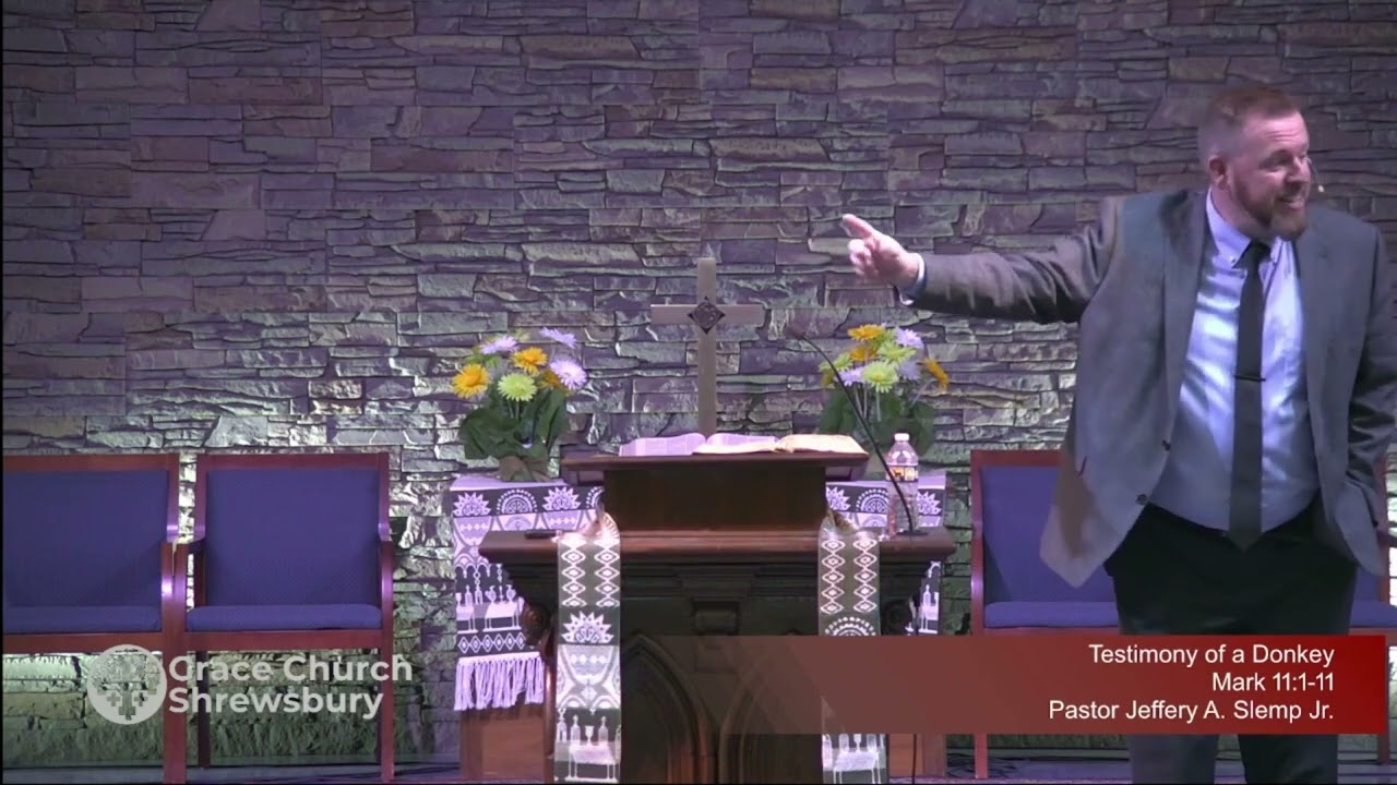 Testimony of a Donkey - Mark 11:1-11