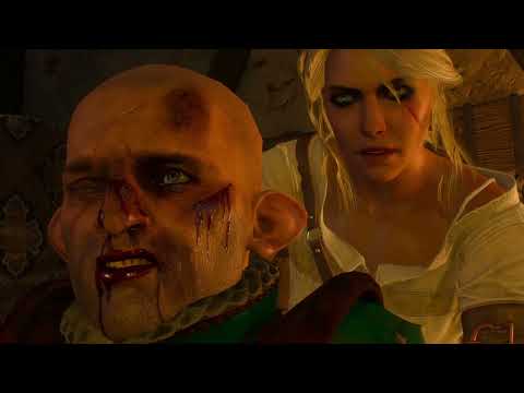 The Witcher 3 The Wild Hunt PART 22 Walkthrough Gameplay
