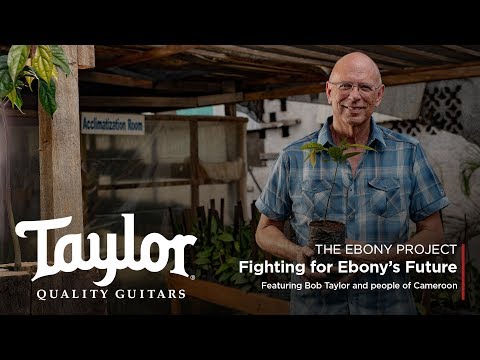 How Taylor Guitars is Fighting for Ebony’s Future