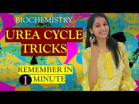 Urea Cycle Tricks To Remember in 1 MINUTE I Biochemistry Mnemonics I