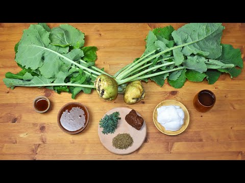 Ancient Roman Rutabaga Stew – A Plebeian Recipe