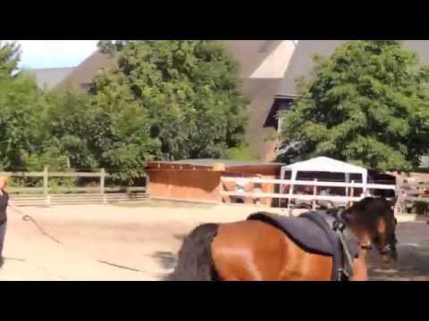 Voltigieren Wildenburg - Stallfest 2012 - Einvoltigieren, Doppel, Juniorteam, Einzel S