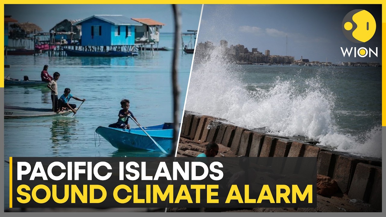 Warmer Oceans & Rising Seas Put Pacific Communities At Risk | WION News
