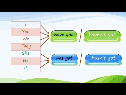 HAVE GOT, HAS GOT (affirmative, negative & interrogative)