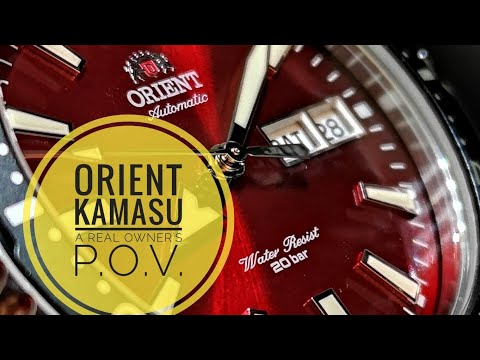 Orient Kamasu: Full Review (8 months on wrist)