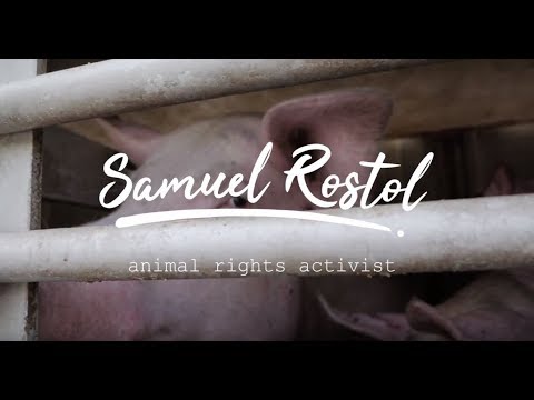 Can you watch this and not cry?