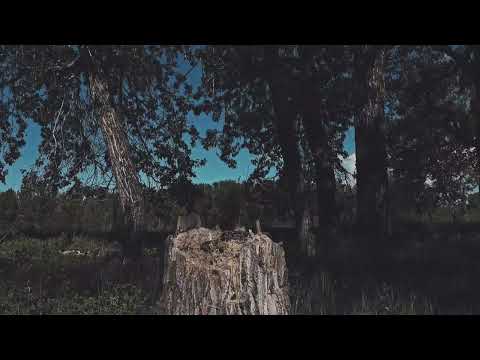 Short Horror Film Trailer - The Forgotten Phone