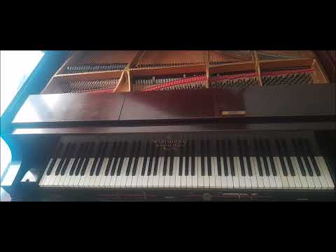 Fox Trot Medley No.23