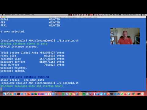 Fast automated Oracle ASM Database Cloning using storage snapshots