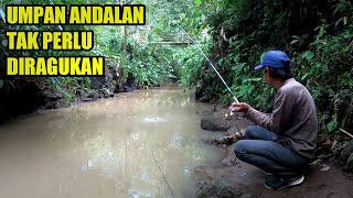 Download lagu Umpan Ampuh Mancing Lele di Air Keruh mp3