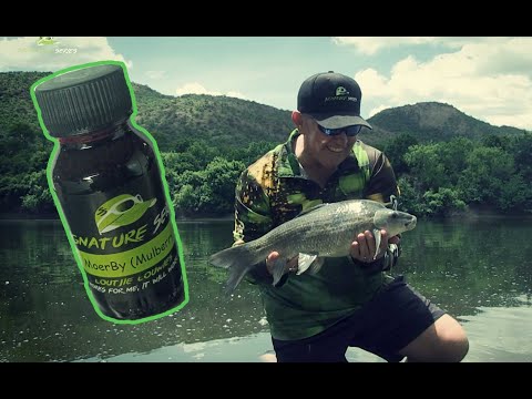 Putting the NEW Mulberry (Moerby) dip to the test