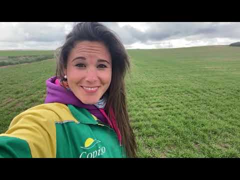 COPISO mantiene  su actividad, sus servicios y su compromiso con el sector agroalimentario