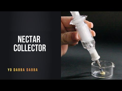Nectar Collector | Yo Dabba Dabba