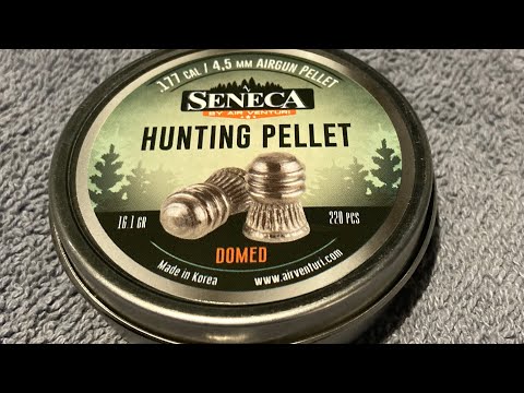 Testing the 16.1 gr Seneca .177 Pellets