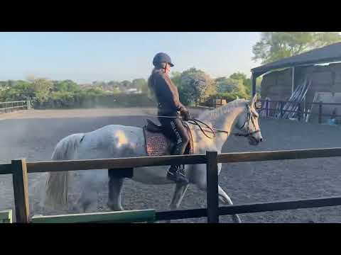 E riders - BE 90 test 97 May 2023