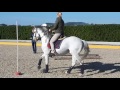 Working Equitation lesson with Pedro Torres