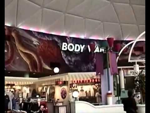 Wonders of Life Ultimate Tribute 1 of 2