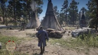 Red Dead Redemption 2 how to rob medicine wagon like a pro