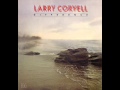 Larry Coryell feat. Michael Brecker - Picean Moon