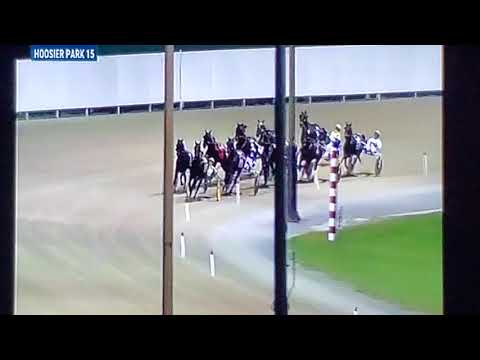 CENTURY FARROH- D.MILLER-AGED BREEDERS CROWN