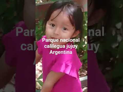 Parque nacional calilegua jujuy Argentina #nature #argentina
