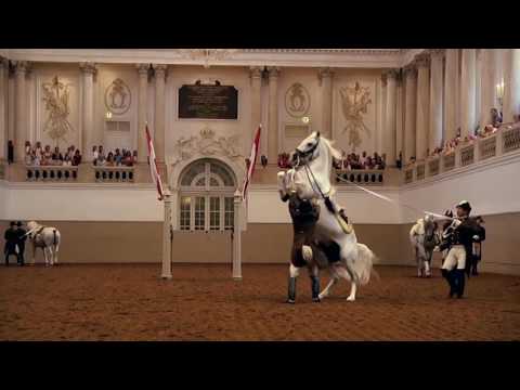 © Spanische Hofreitschule - Salzburgarena Galavorführung der Spanischen Hofreitschule Wien...