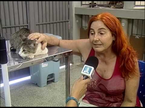 Jornal UFMS - Março