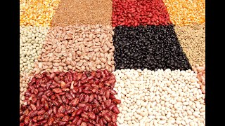 FEIJOADA VEGANA COMPLETA | VERSO MELHORADA!!!