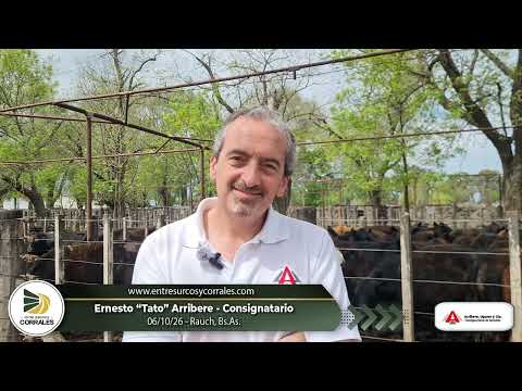 06-10-26 - Ernesto Arribere - Consignatario - Rauch, Bs.As.