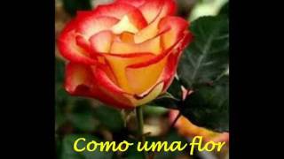 Jaci Velasquez - Como una flor / legendado