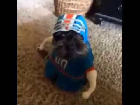 Funny animal videos - Football dog