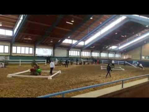 Körung Hengst Colanyc 2016 Kreuth