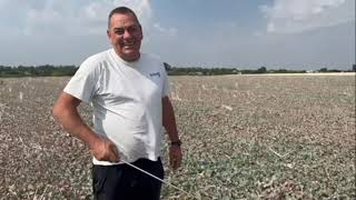 Grade de disco Salford RTS I 2120 novo | Imagem 5 - Agroline