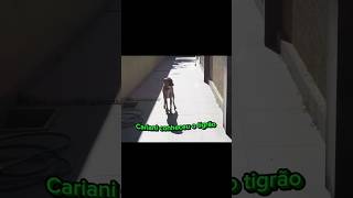 Cariani conheceu o cachorro do bistecone!