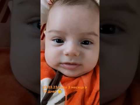 Коля - тигр🐯