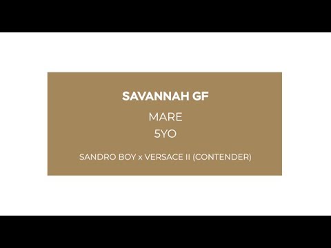 Savannah GF