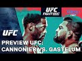 UFC: Cannonier vs. Gastelum Preview