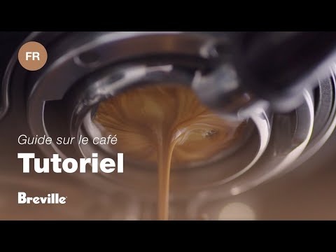 miniature vidéo