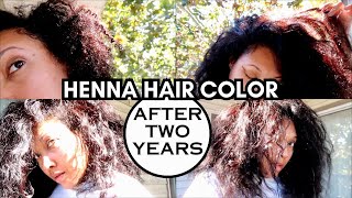 COLOR UPDATE AFTER 2 YEARS OF HENNA on CURLY HAIR | 2024 | Ashkins Curls