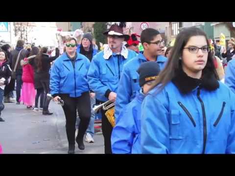 Karnevalsumzug Arnstadt 25.02.2017