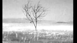 OMAZZ BACK SB  45 DH OK