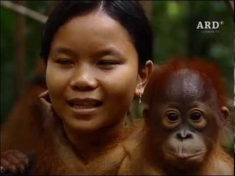 Gesichter Asiens  2005 Singapur