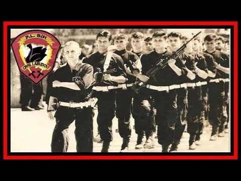 ⚜️⚔ Black Swans II Crni Labudovi