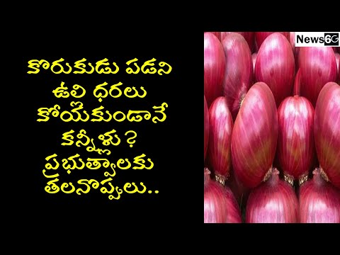 onion price hike in telugu