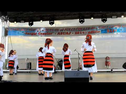 Festivalul Interjudetean al Folclorului din Tara Codrului "Targul Cepelor" - Asuaj - 2014