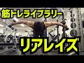 【筋トレライブラリー】リアレイズ