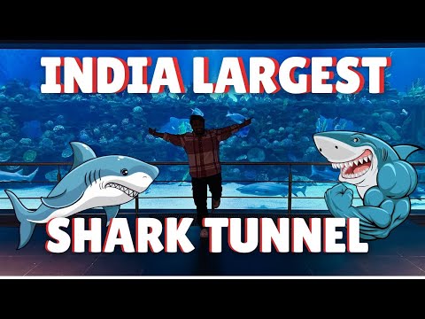 Full Tour India's Largest Shark Tunnel I Part - 2 I Souls of healing