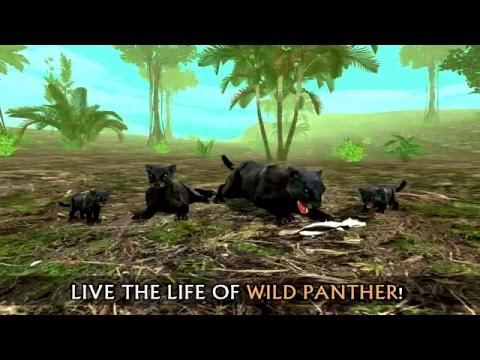 Wild Panther Sim 3D Video