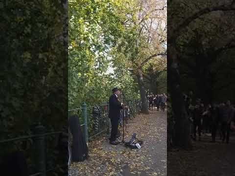 Mr Moon busking in Berlin